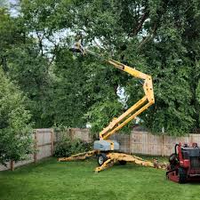 Reliable Whiting, WI Tree Removal and Landscaping Services Solutions